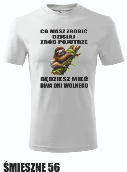 Koszulka - Co masz zrobić dzisiaj